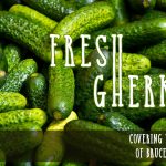 Fresh Gherkin - covering the music of Bruce Hornsby